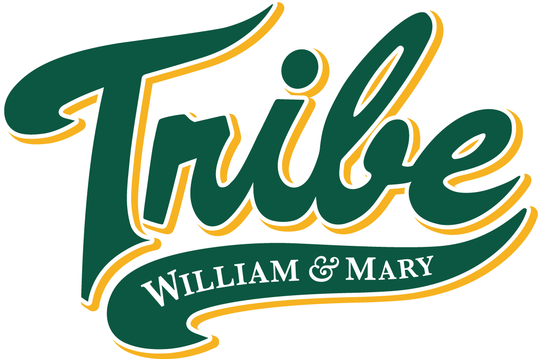 William and Mary Tribe 2016-2017 Primary Logo diy iron on heat transfer
